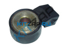 ������ ���������
